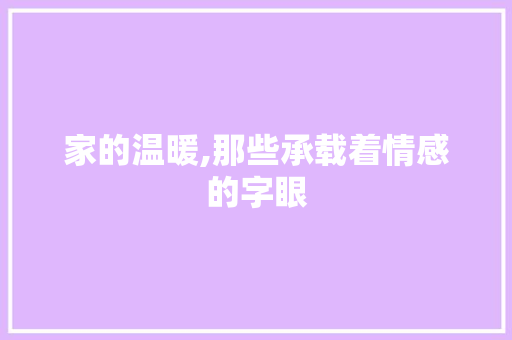 家的温暖,那些承载着情感的字眼
