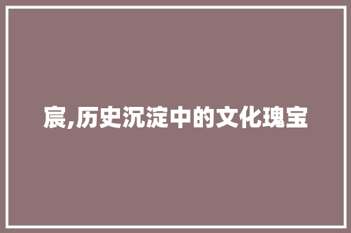 宸,历史沉淀中的文化瑰宝