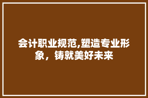 会计职业规范,塑造专业形象，铸就美好未来