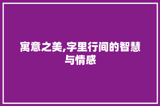 寓意之美,字里行间的智慧与情感