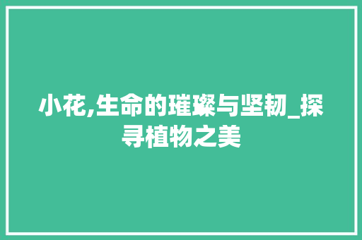 小花,生命的璀璨与坚韧_探寻植物之美