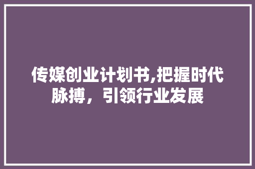 传媒创业计划书,把握时代脉搏，引领行业发展