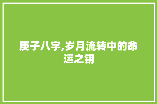 庚子八字,岁月流转中的命运之钥