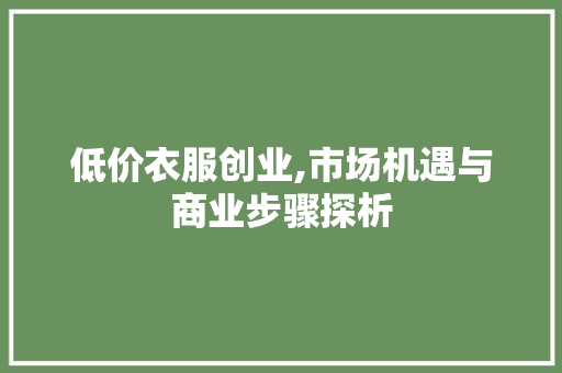 低价衣服创业,市场机遇与商业步骤探析