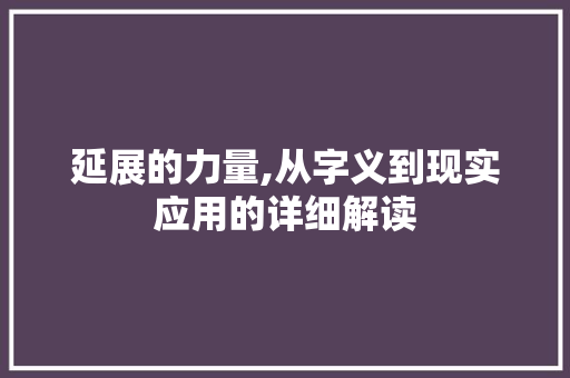 延展的力量,从字义到现实应用的详细解读
