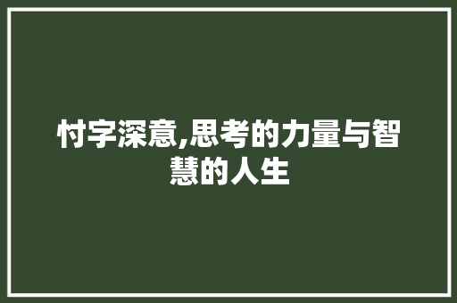 忖字深意,思考的力量与智慧的人生