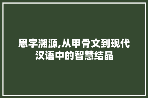 思字溯源,从甲骨文到现代汉语中的智慧结晶