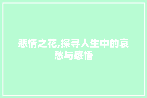 悲情之花,探寻人生中的哀愁与感悟