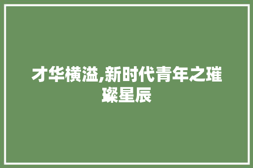 才华横溢,新时代青年之璀璨星辰