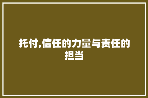 托付,信任的力量与责任的担当