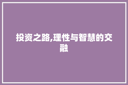 投资之路,理性与智慧的交融