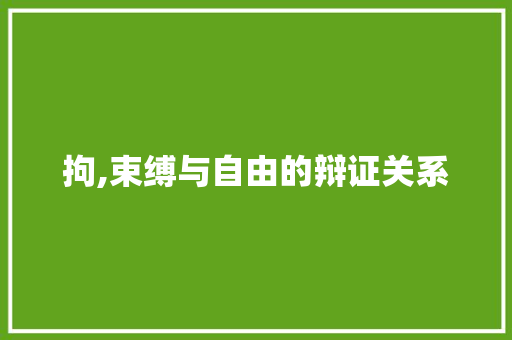 拘,束缚与自由的辩证关系
