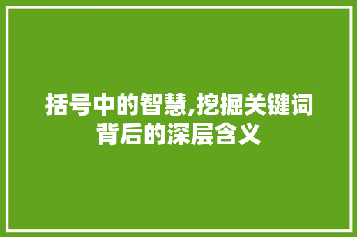 括号中的智慧,挖掘关键词背后的深层含义