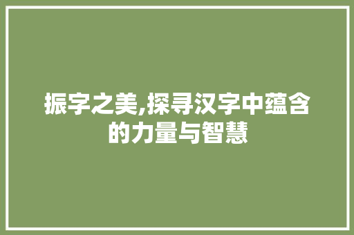 振字之美,探寻汉字中蕴含的力量与智慧
