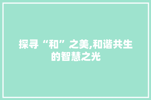 探寻“和”之美,和谐共生的智慧之光