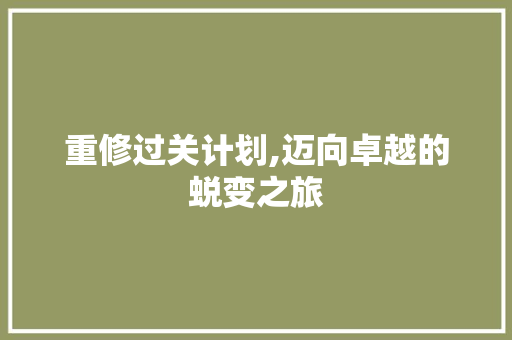 重修过关计划,迈向卓越的蜕变之旅