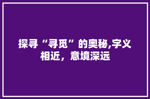 探寻“寻觅”的奥秘,字义相近，意境深远