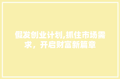 假发创业计划,抓住市场需求，开启财富新篇章