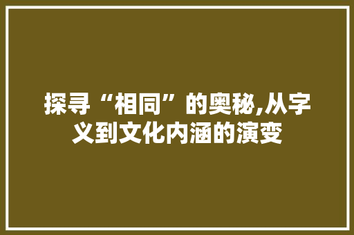 探寻“相同”的奥秘,从字义到文化内涵的演变