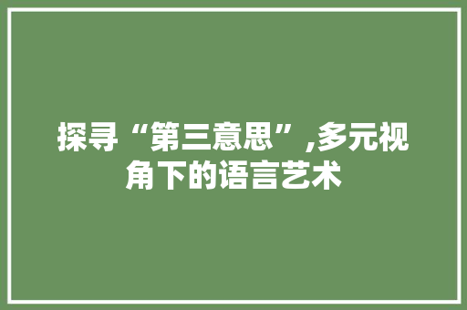 探寻“第三意思”,多元视角下的语言艺术