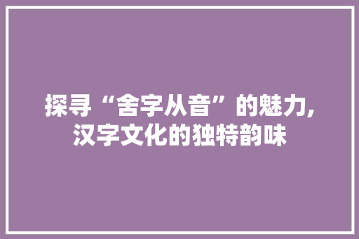 探寻“舍字从音”的魅力,汉字文化的独特韵味