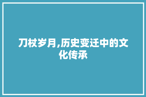 刀杖岁月,历史变迁中的文化传承