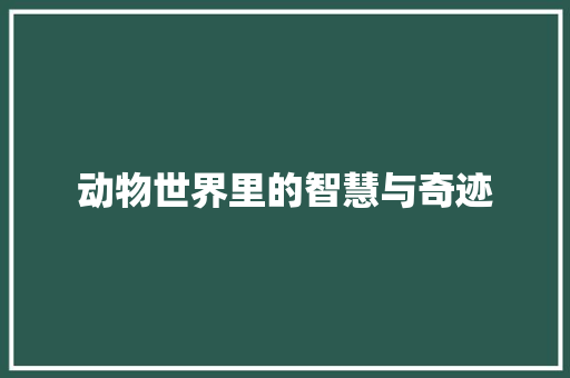 动物世界里的智慧与奇迹