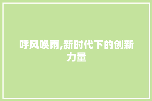 呼风唤雨,新时代下的创新力量