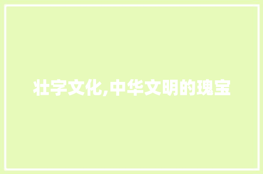 壮字文化,中华文明的瑰宝