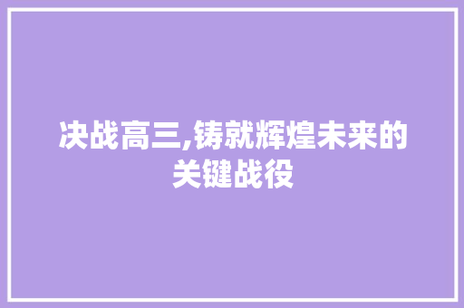 决战高三,铸就辉煌未来的关键战役