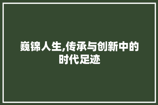 巍锦人生,传承与创新中的时代足迹