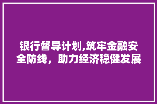 银行督导计划,筑牢金融安全防线，助力经济稳健发展 反义词汇