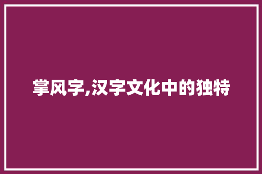 掌风字,汉字文化中的独特