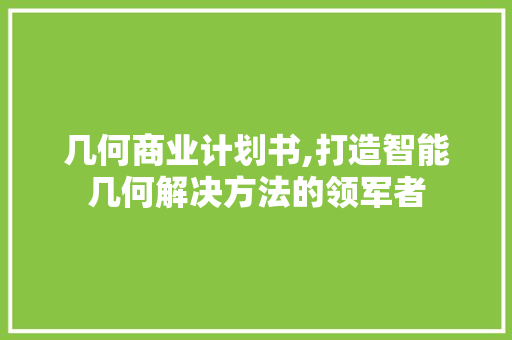 几何商业计划书,打造智能几何解决方法的领军者