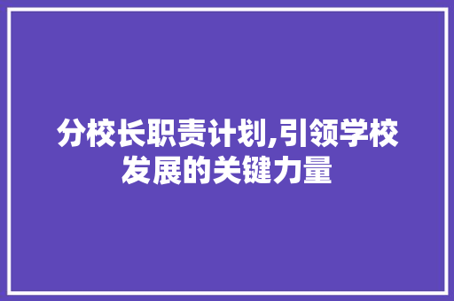 分校长职责计划,引领学校发展的关键力量