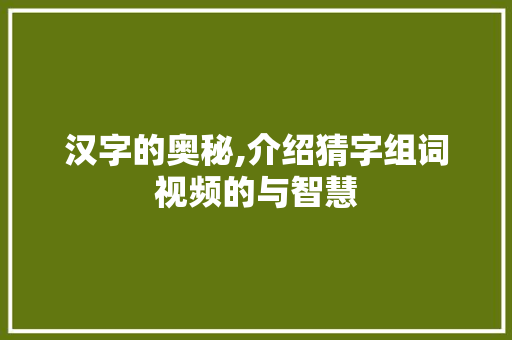 汉字的奥秘,介绍猜字组词视频的与智慧