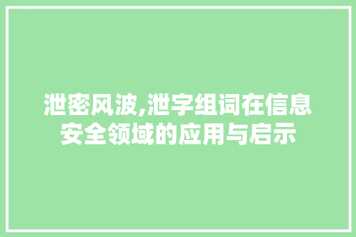 泄密风波,泄字组词在信息安全领域的应用与启示
