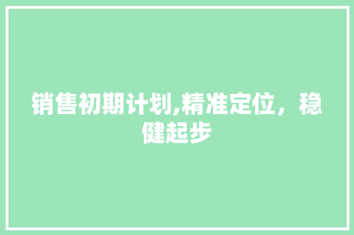 销售初期计划,精准定位，稳健起步