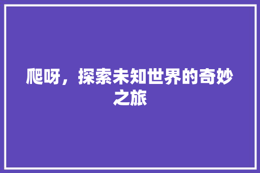 爬呀，探索未知世界的奇妙之旅