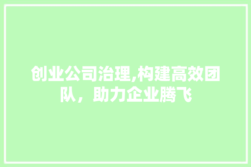 创业公司治理,构建高效团队，助力企业腾飞