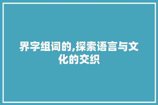 界字组词的,探索语言与文化的交织