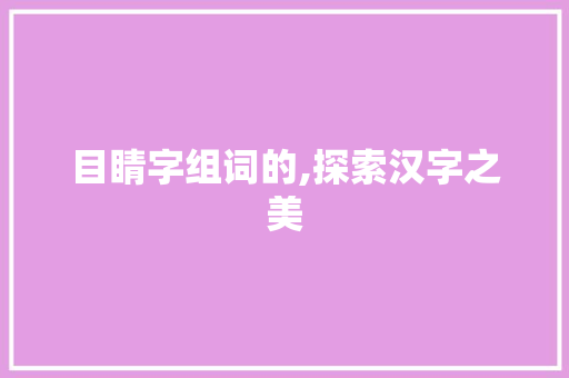 目睛字组词的,探索汉字之美
