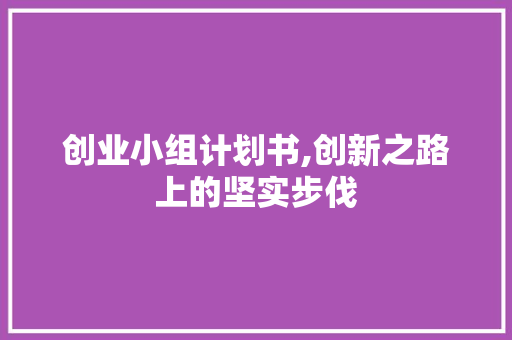 创业小组计划书,创新之路上的坚实步伐