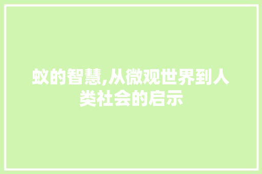 蚁的智慧,从微观世界到人类社会的启示