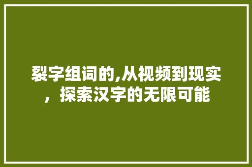 裂字组词的,从视频到现实，探索汉字的无限可能