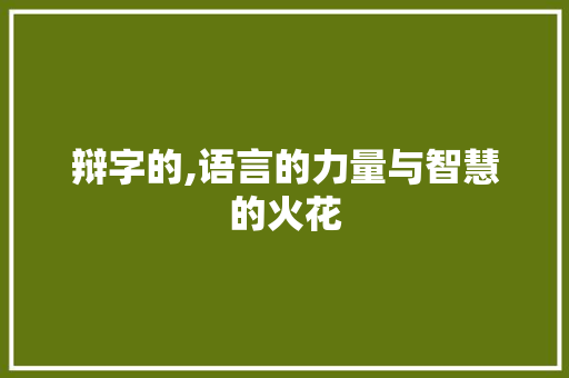 辩字的,语言的力量与智慧的火花 英语单词
