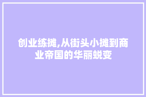 创业练摊,从街头小摊到商业帝国的华丽蜕变
