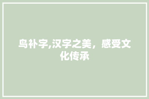 鸟补字,汉字之美，感受文化传承