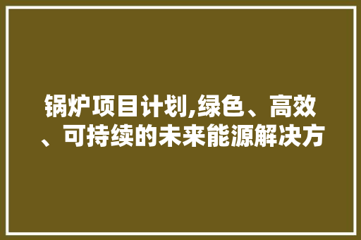 锅炉项目计划,绿色、高效、可持续的未来能源解决方法