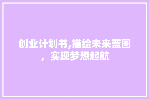 创业计划书,描绘未来蓝图，实现梦想起航